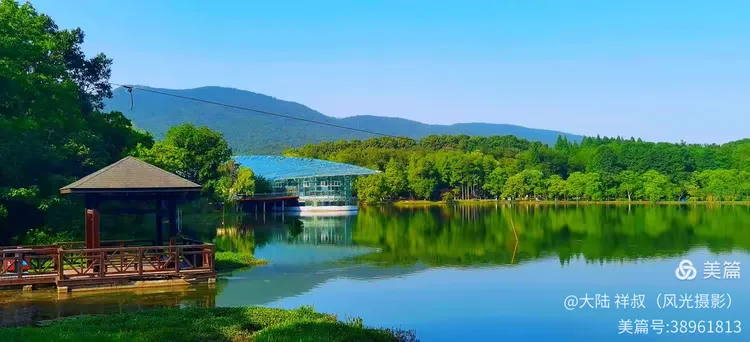 夏日清凉绿幽的中山陵前湖